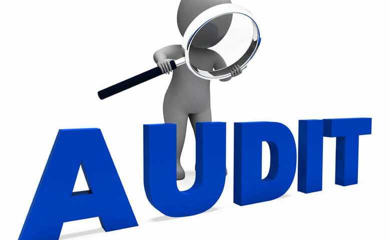 Do IRS Auditors Look for an Online Business?