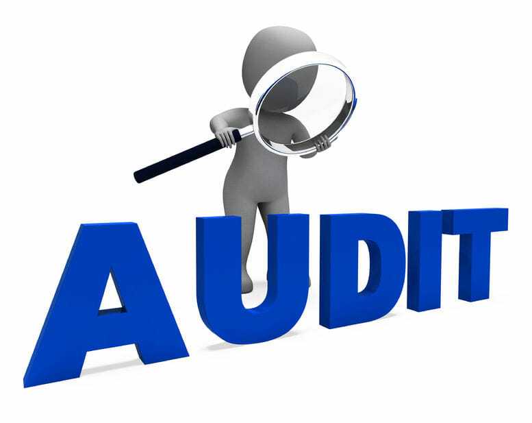 Do IRS Auditors Look for an Online Business?