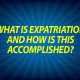 What is expatriation and how is this accomplished?