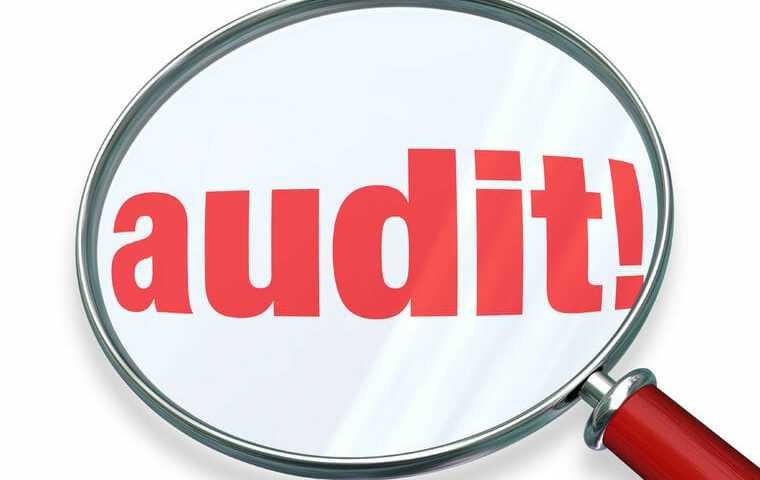 What Types of Businesses Are Specifically Targets by the IRS’s Audit Team?