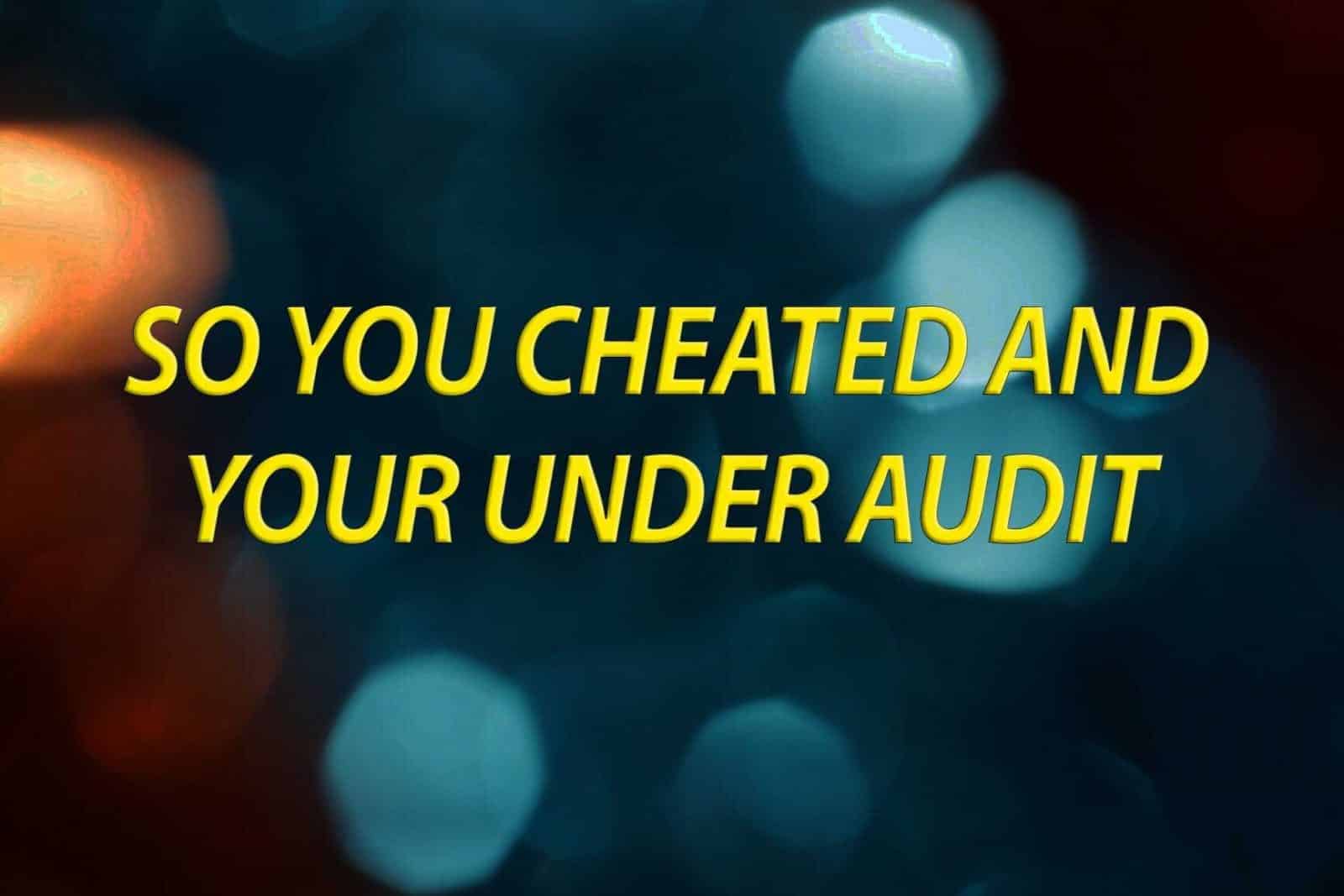 So you cheated on your taxes and you are under a tax audit
