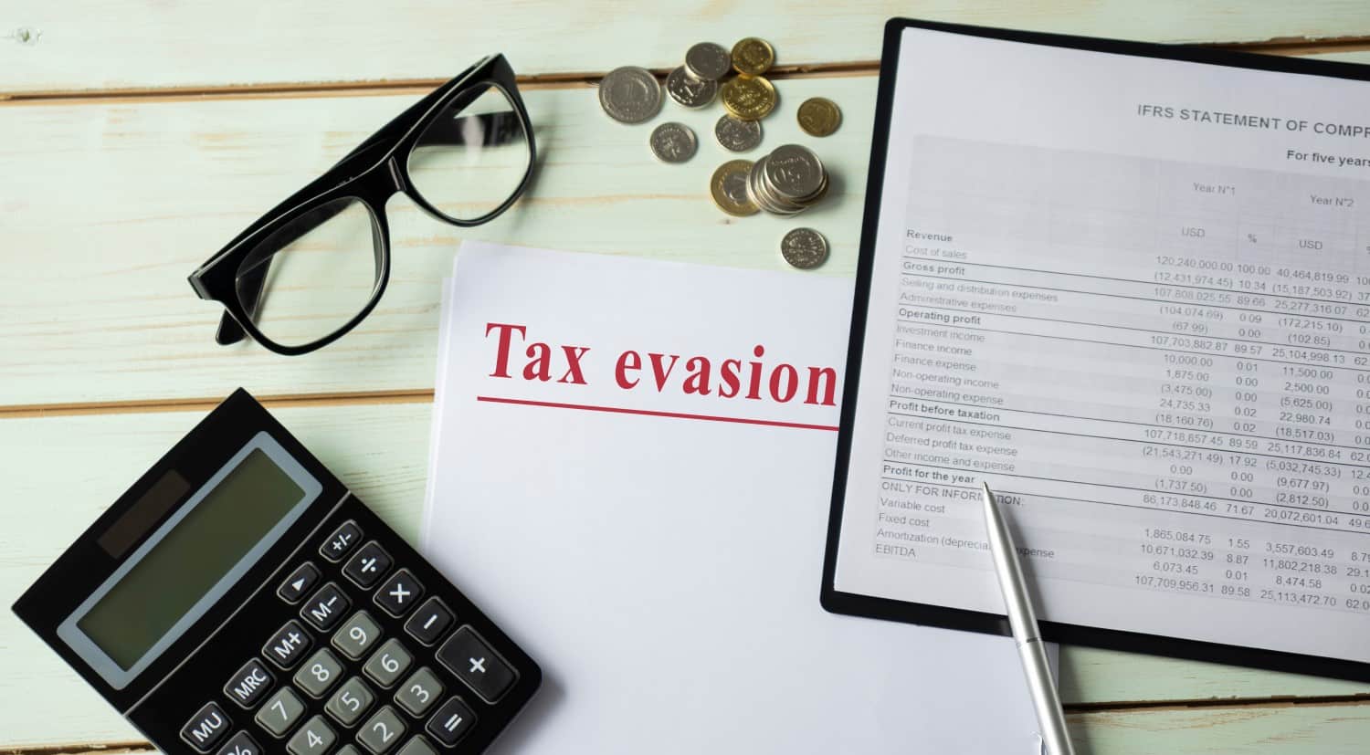 Tax Evasion paper